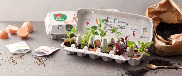 Kids-Egg-Carton-Planters-resized