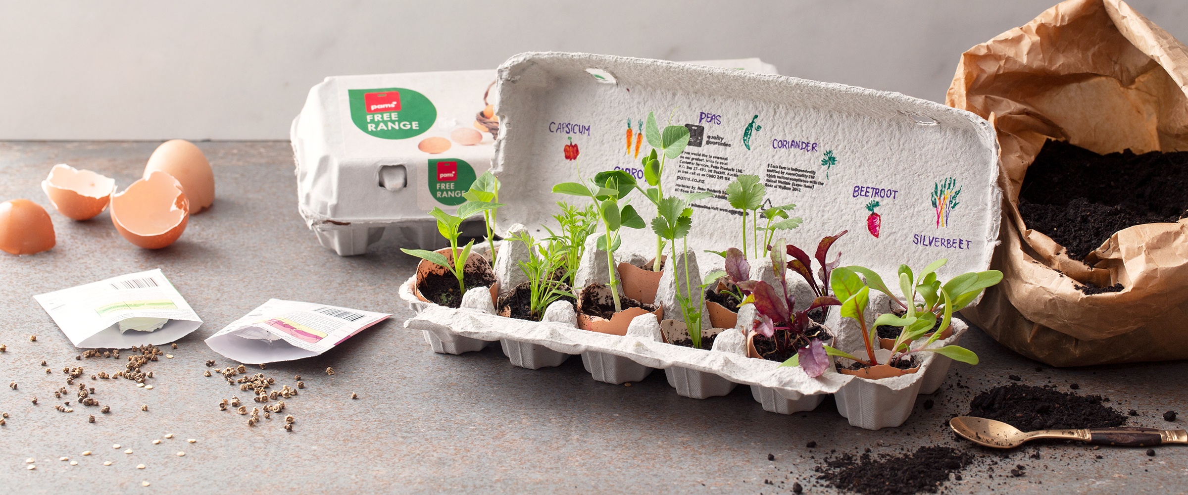 Kids-Egg-Carton-Planters-resized